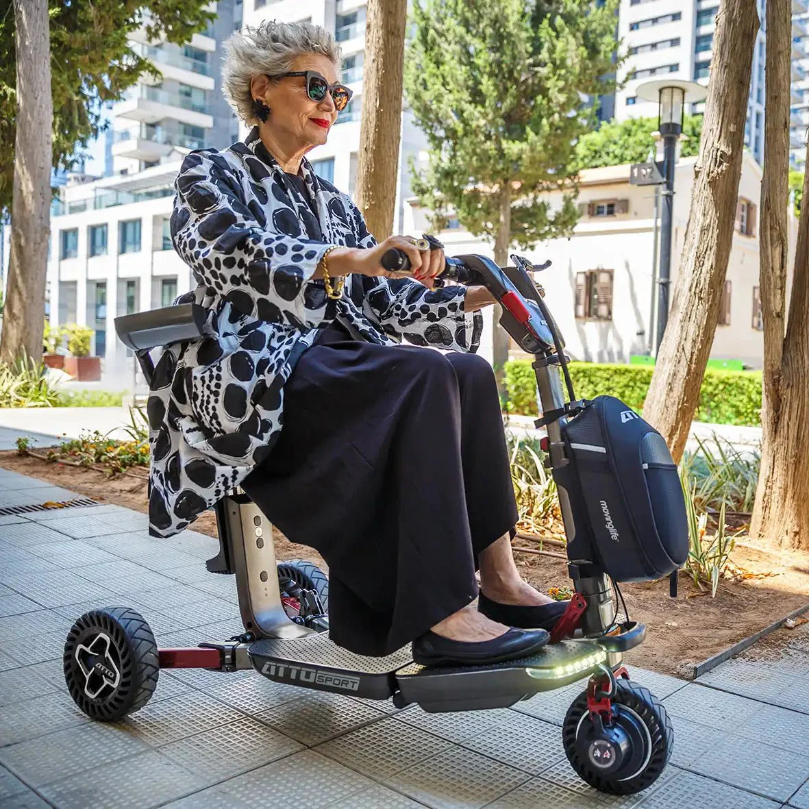 SHABBATTO Mobility Scooter STAR-K Approved - Image 21